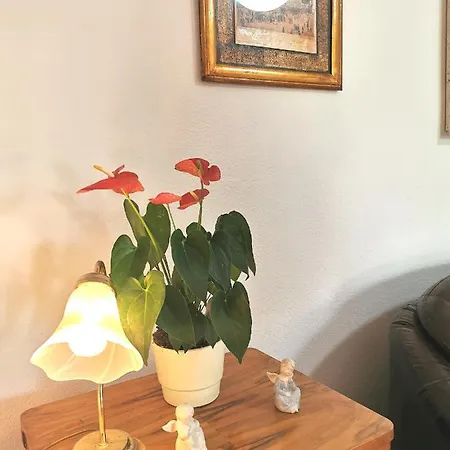 Apartment Biocic