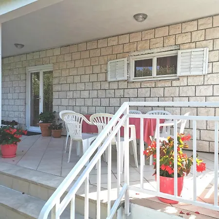 Biocic * קורצולה