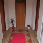 Biocic