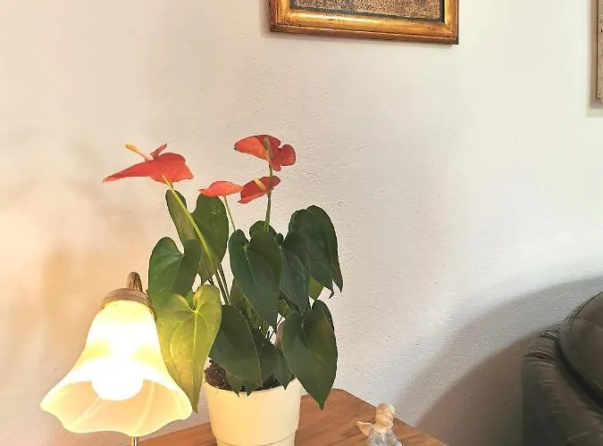 Appartement Biocic